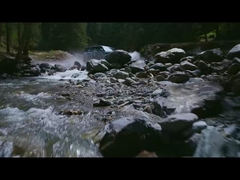 หมึก 5 ในน้ํา