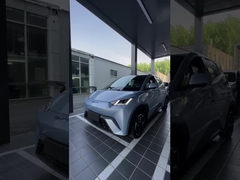 บีวายดี ซีกัล