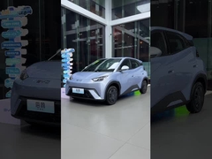 นกนางนวล