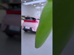 นกนางนวล