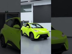 นกนางนวล