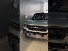 เสือดาว 8