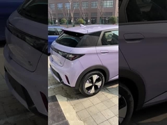 ปลาโลมา